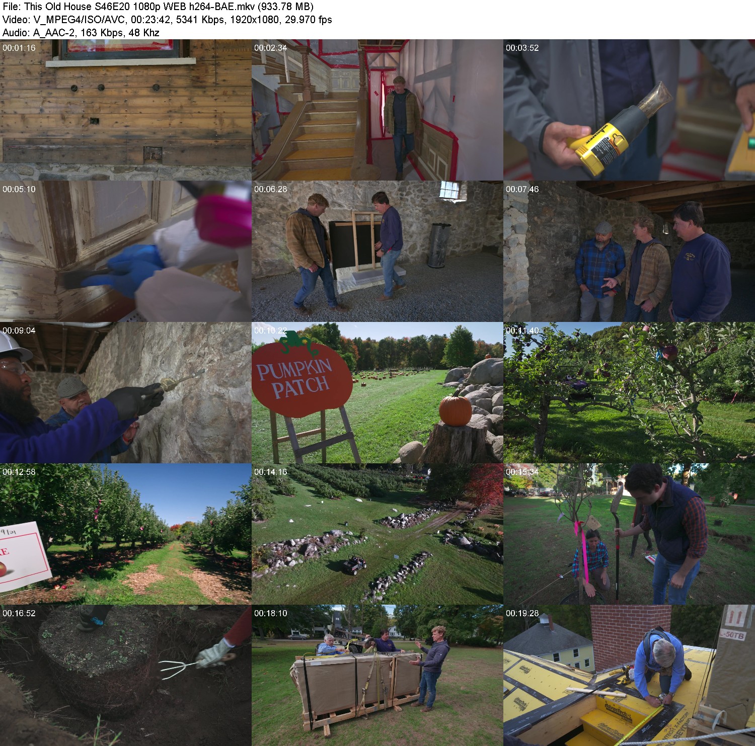 [Image: rw3id21wg0hp.jpg]