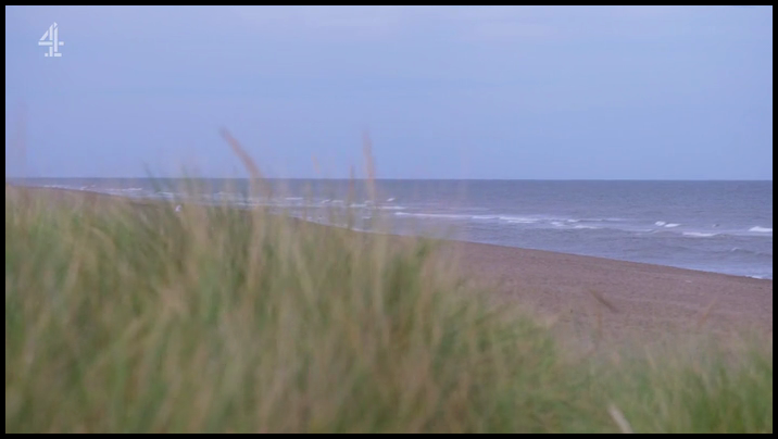 [Image: zy6hnl97t9pf.png]