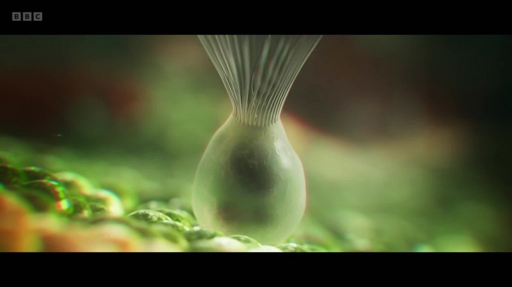 [Image: 8zv6uxqyd80d.jpg]