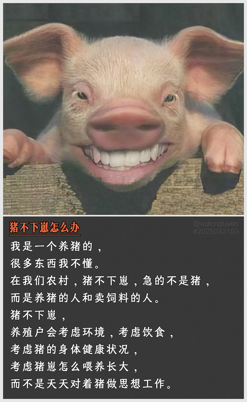 https://i.postimg.cc/8TDZP5Ts/2025042103.jpg