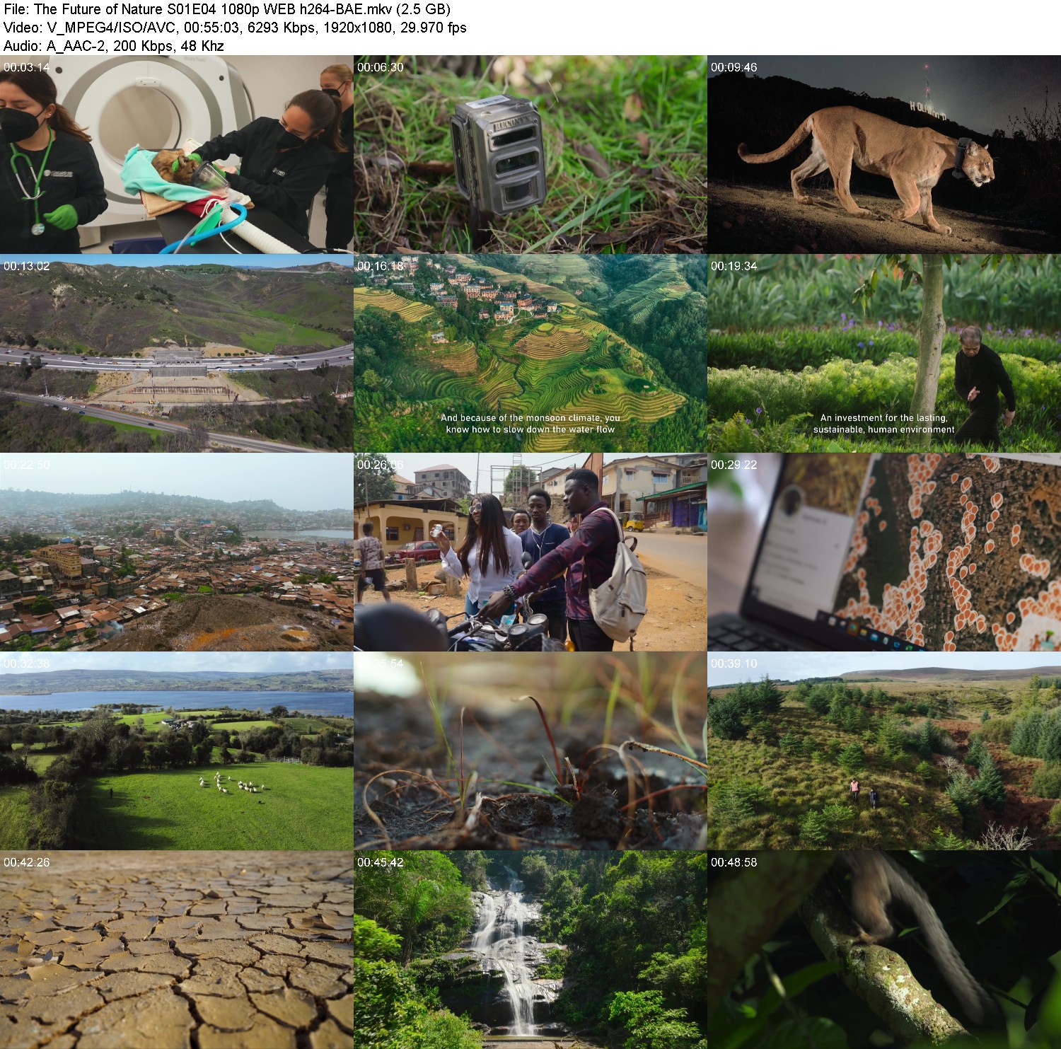 [Image: d521fevplgw7.jpg]