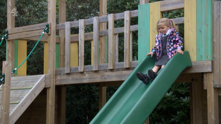 [Image: l9vv1ij86cdw.png]