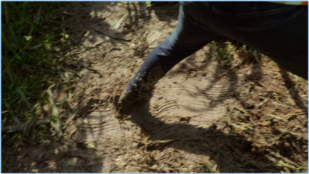 [Image: kxq6w77sq6uo.png]