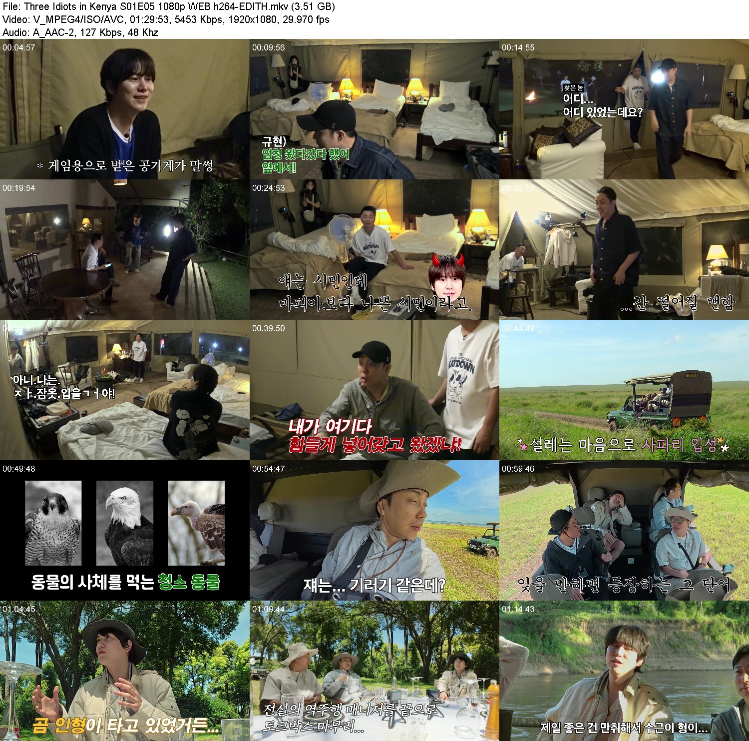 [Image: dyxgw717lma8.jpg]