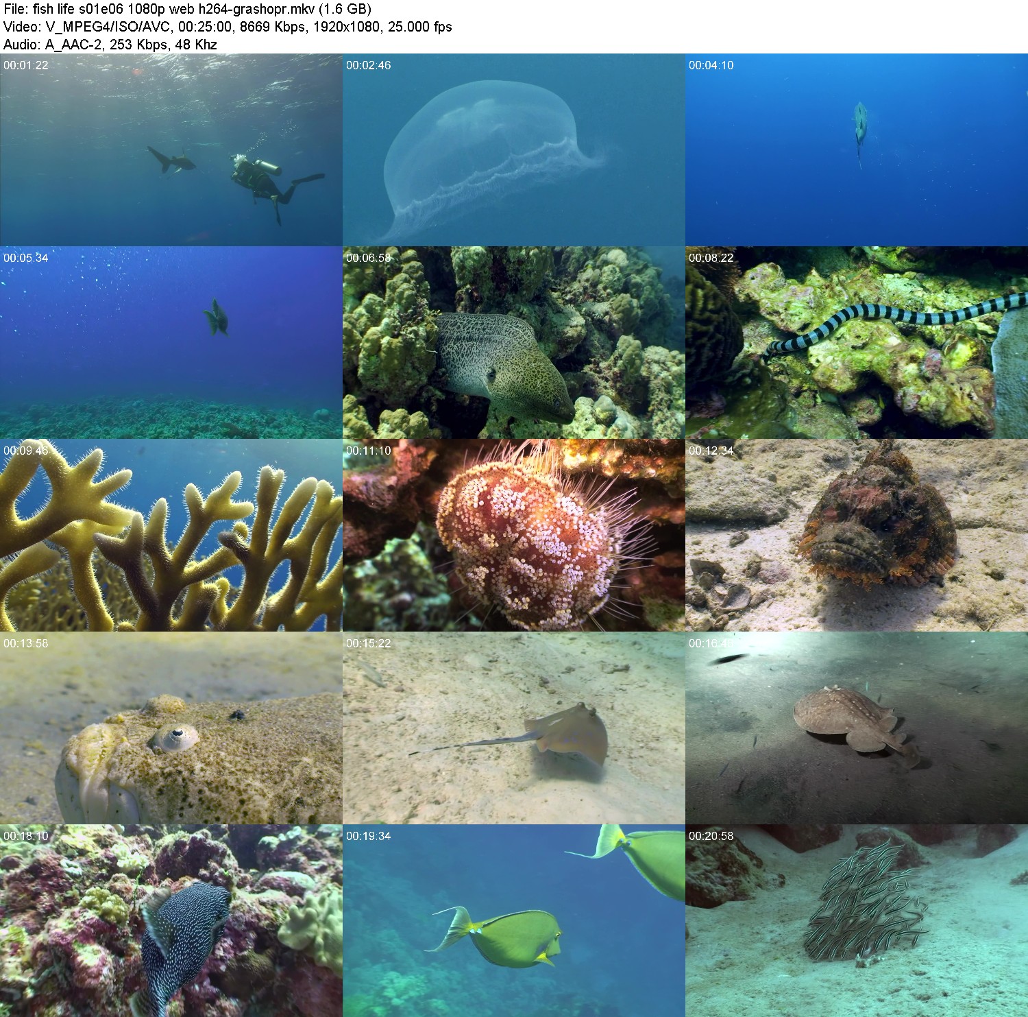 [Image: 10aww8ddqxf5.jpg]