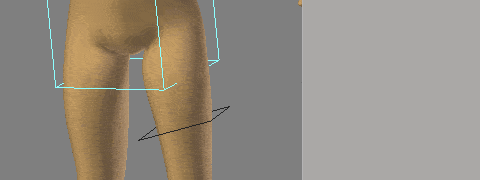 c-oxfox-fk-leg-isolate-rotation.gif