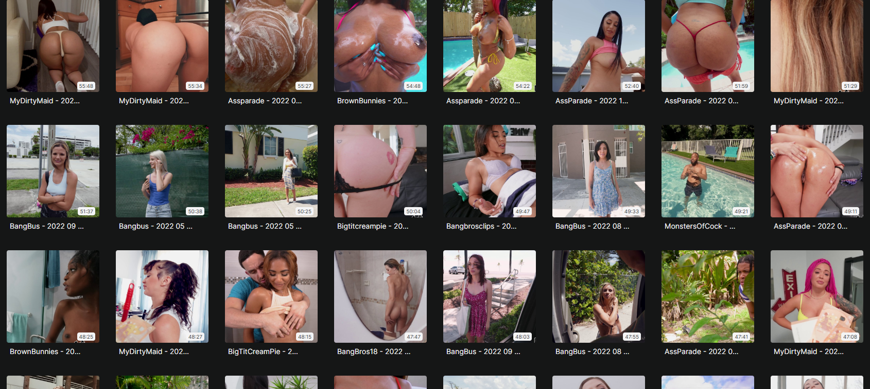 Bangbros, 1.63 TB