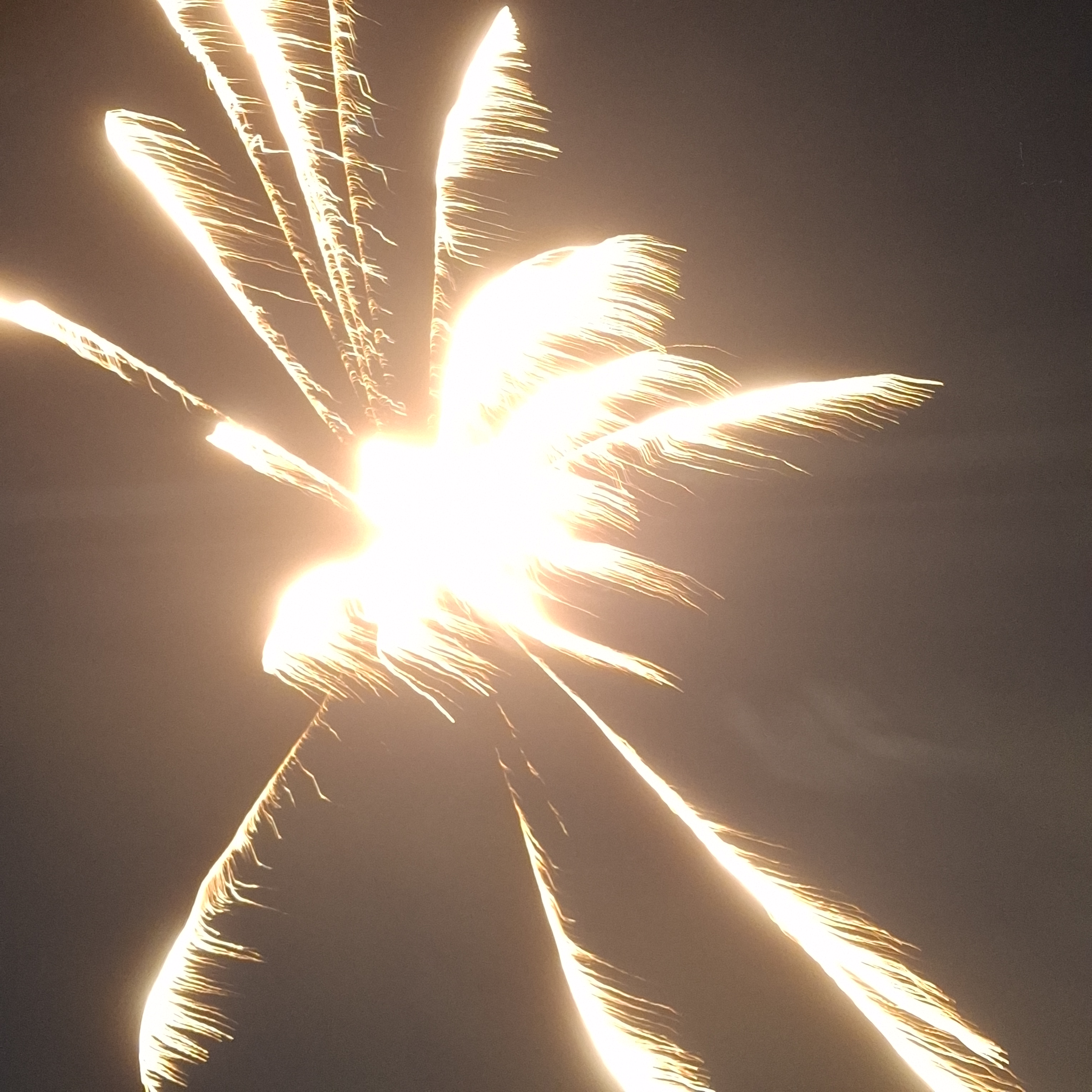 [Image: 20260704-211622.jpg]