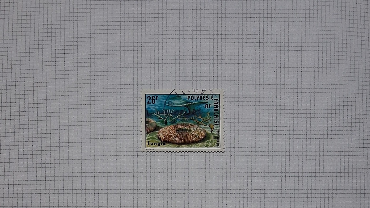 20260830-190336-Grande