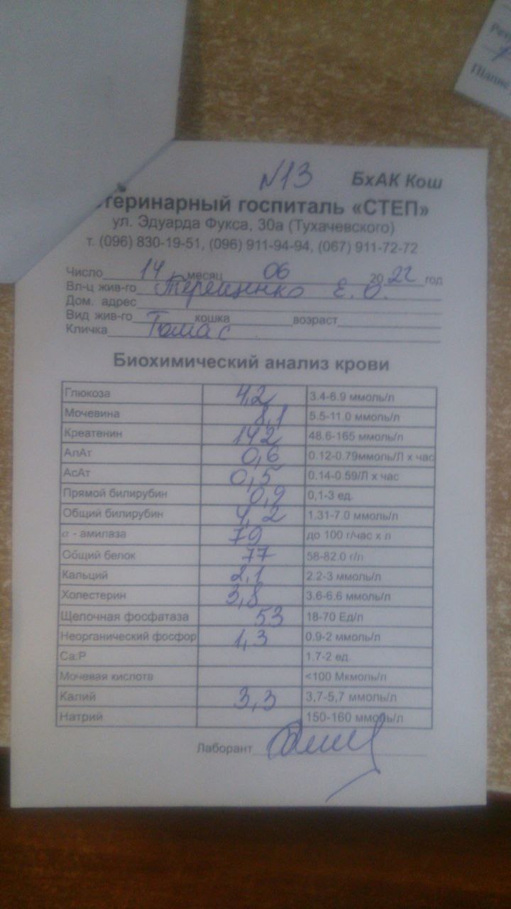 Клініка святого миколая запоріжжя аналізи