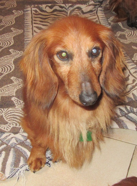 [Image: IMG-0510.jpg]