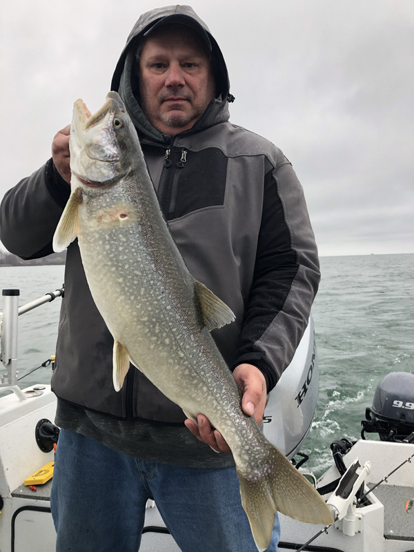 1BC8E59B-F231-40AF-951E-0BE4401C70F8