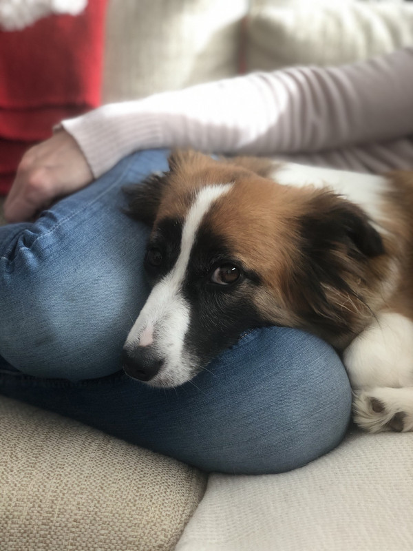 1B4E1894-FB15-4D08-8660-796D30F2361F