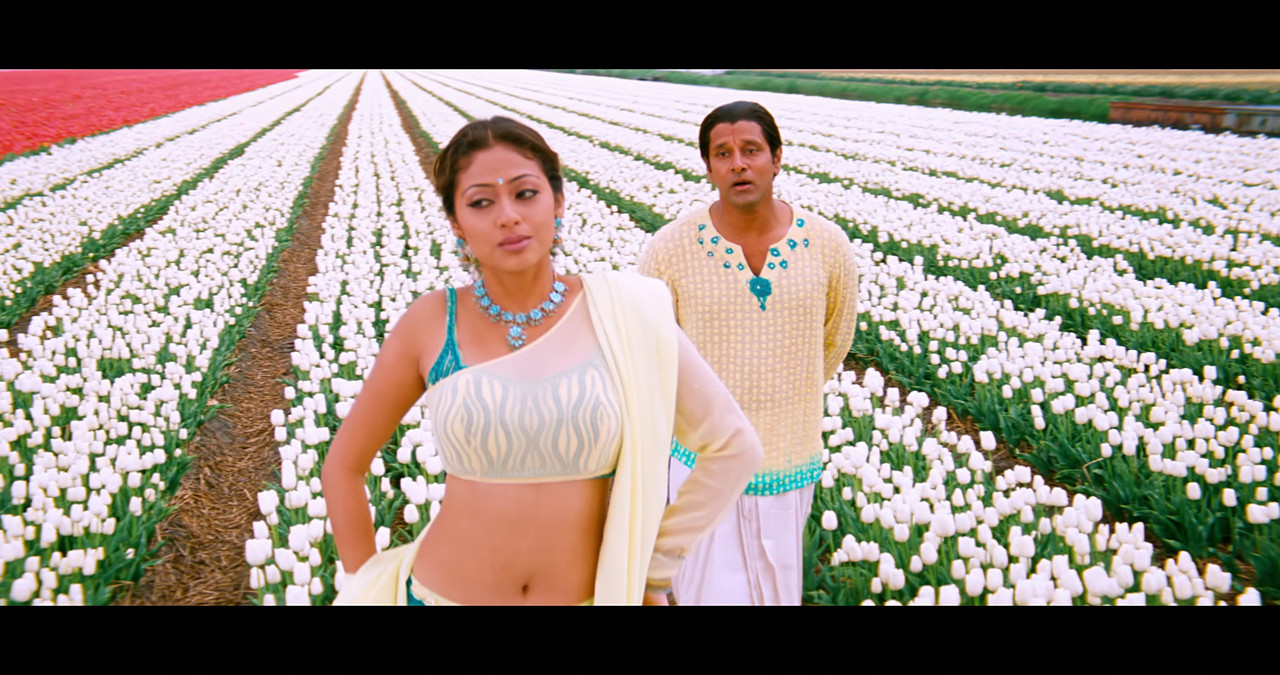 VideoCapture_20241122-195556