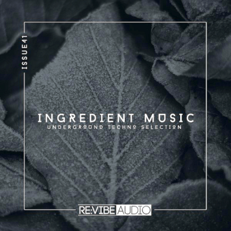 VA - Ingredient Music Vol. 41 (2021)