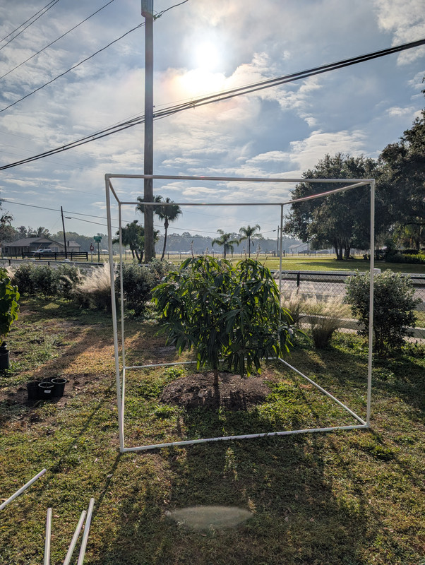 PXL 20251228 144005009