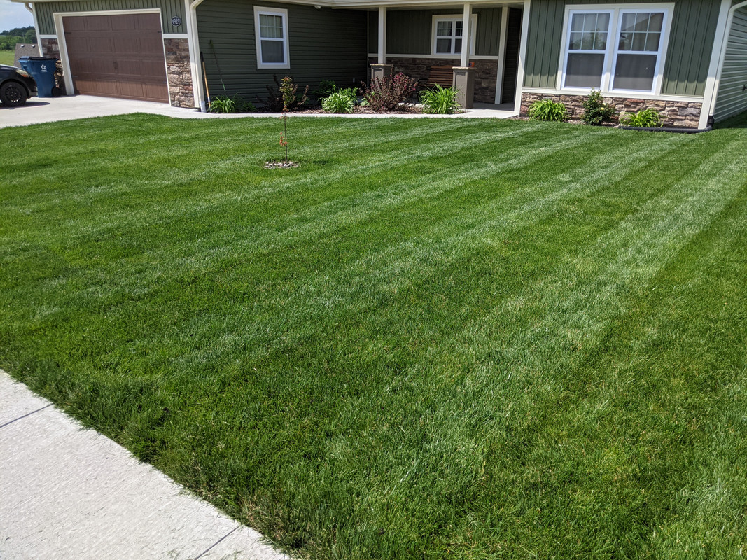 PXL_20210523_193447467