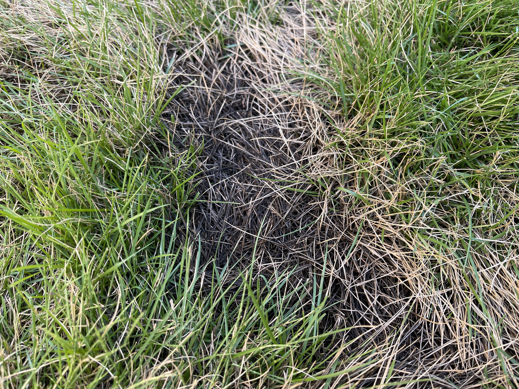 2D9AF16B-E52F-4423-B0CE-E208FFA6A47C