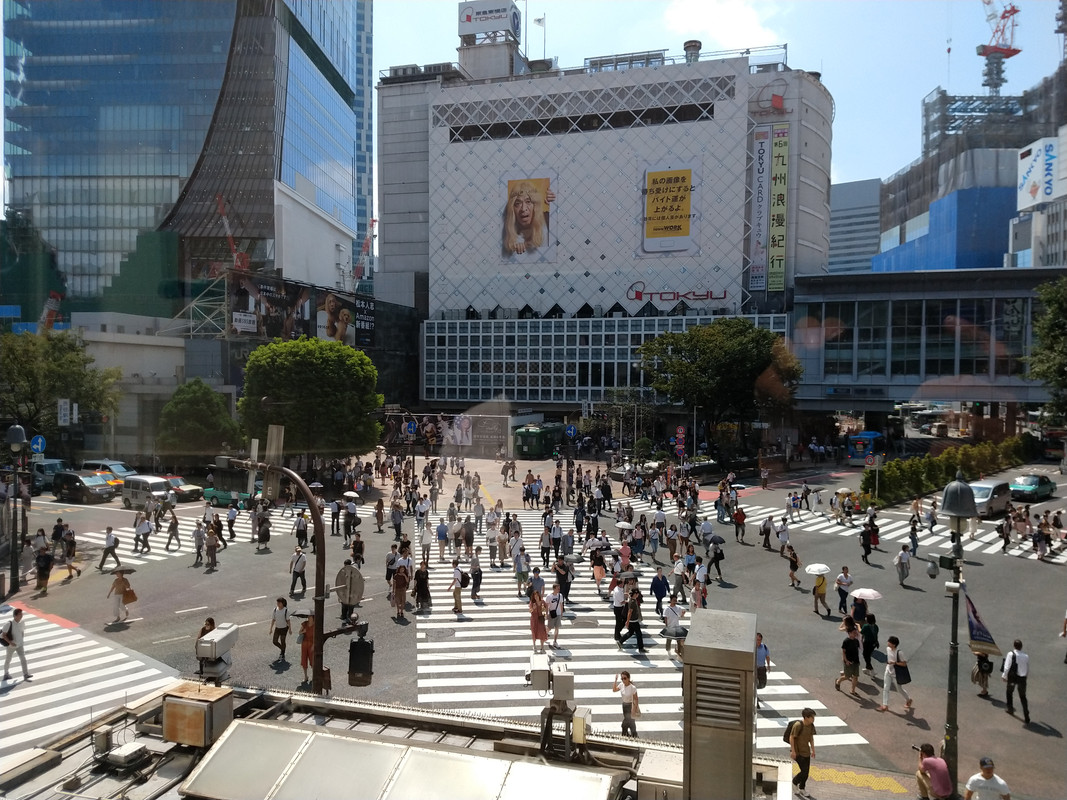 JUEVES 30 -  TOKYO Shibuya -  Harajuku- Shinjuku - JAPON. UNA GRAN AVENTURA , SIN ENAMORAMIENTO FINAL (2)