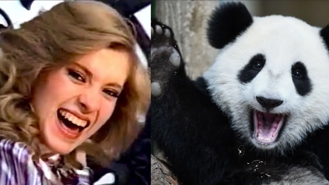 Este el video de la canción que Yuri le dedicó al panda más famoso del mundo