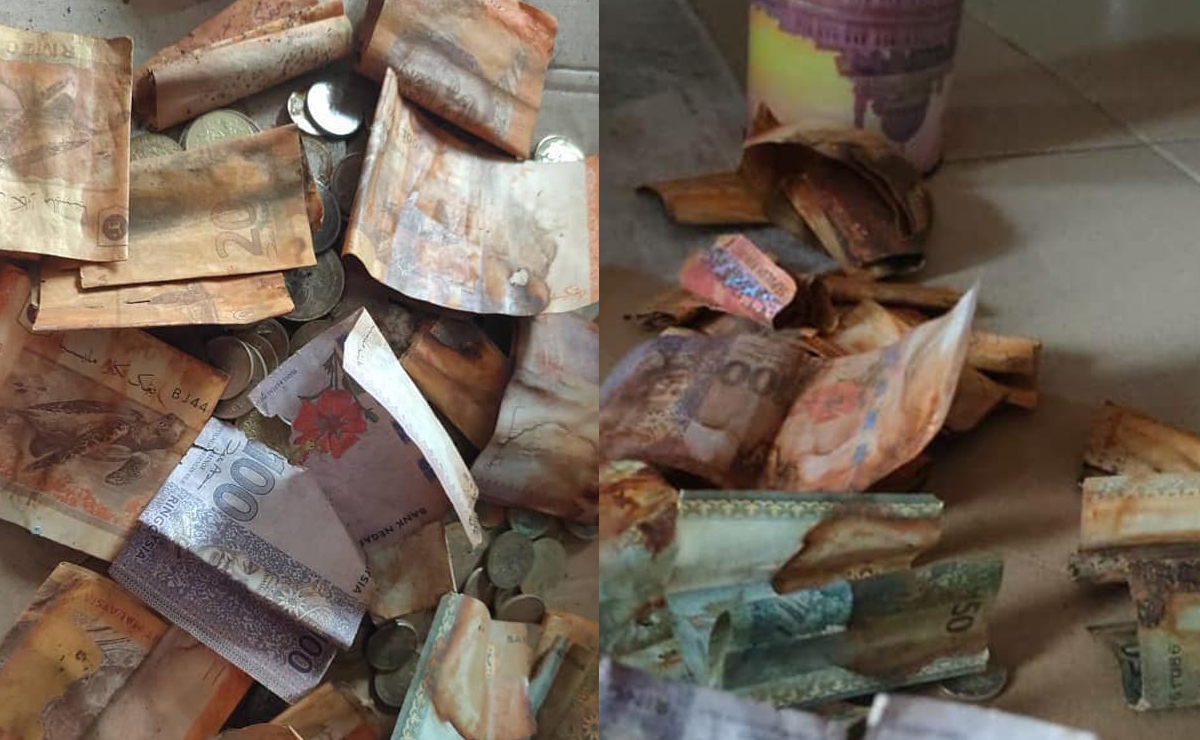 Hombre perdió todos sus ahorros; billetes se le echaron a perder por esta razón