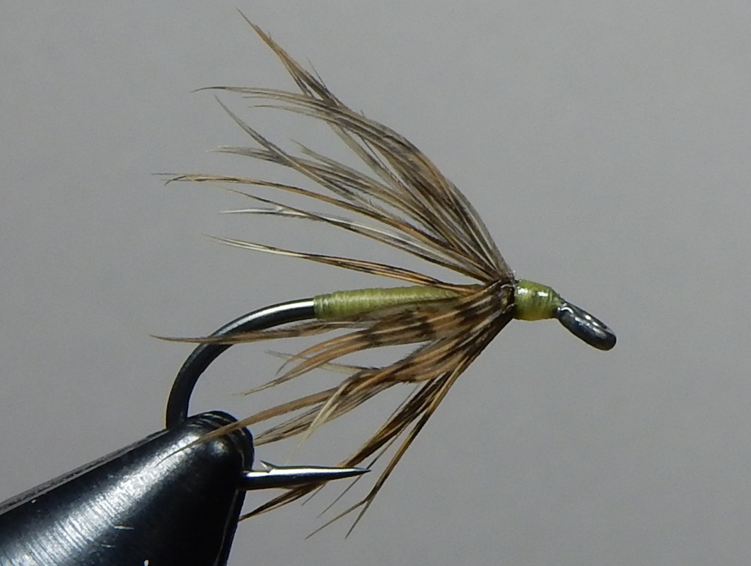 Grouse-Yellow-1080.jpg