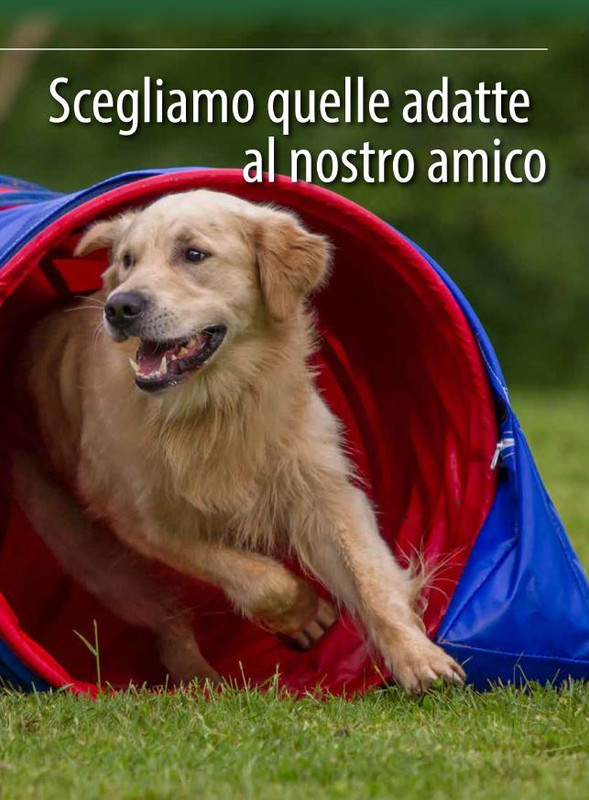 Il M C Set-Ott 2024 (8)