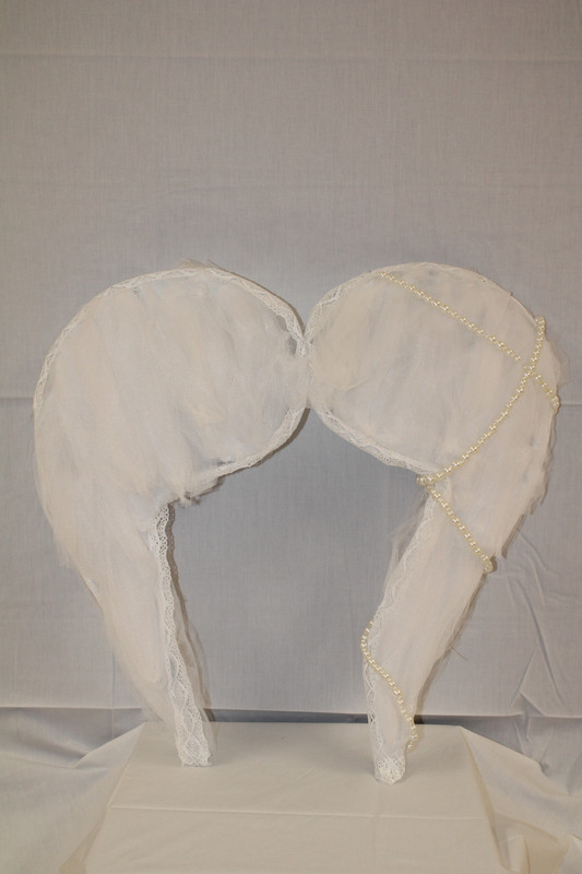 what heals also hurts, wings of burden