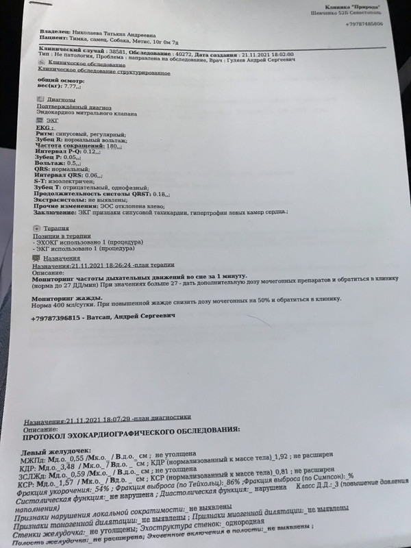Тимка_кардиолог_ноябрь 2021_1