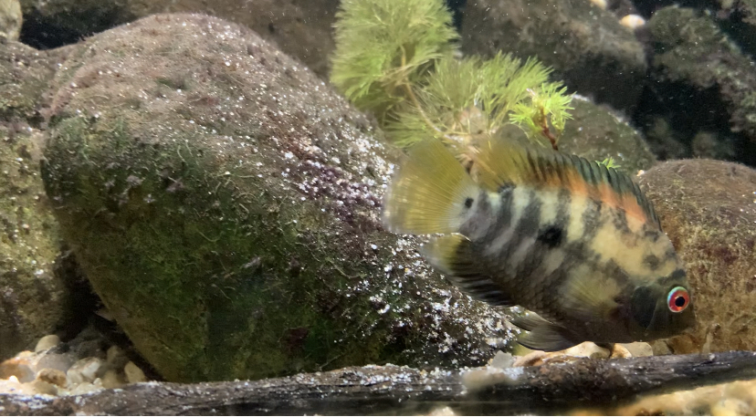 784BF2D0-62CC-497D-BF63-708255507036