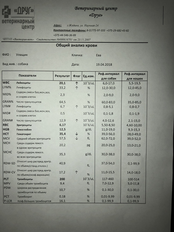 D4B0B69A-E6FF-4859-8338-425CEEF0833E