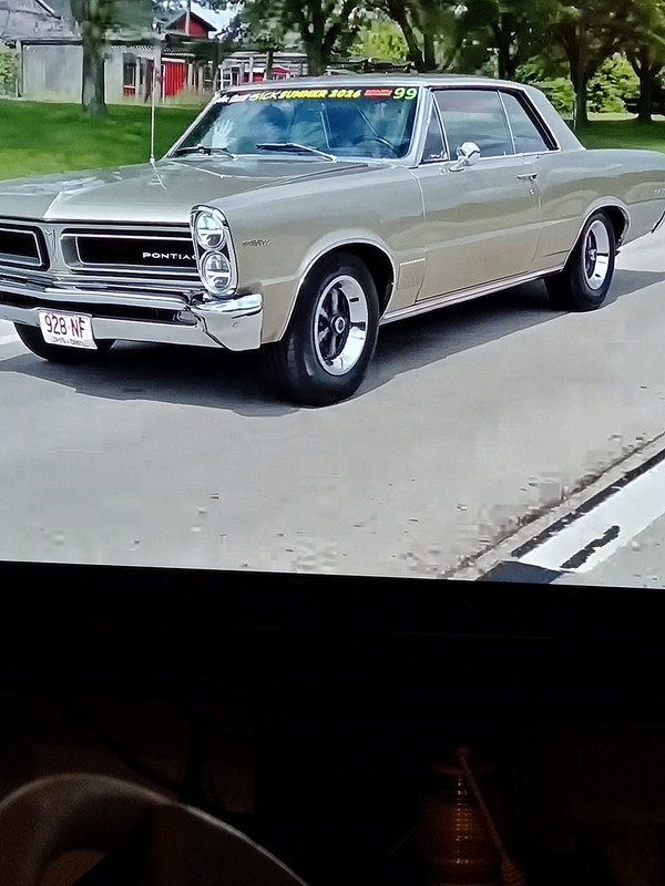 sick summer goat silver