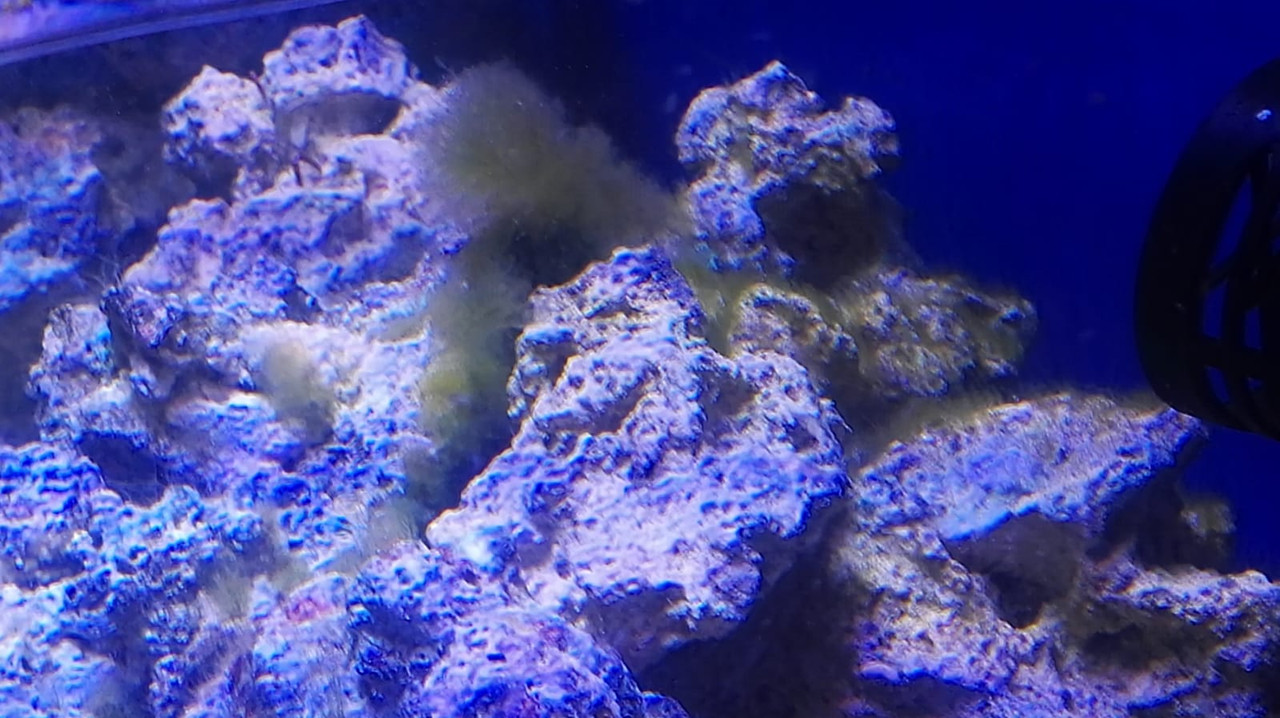 WhatsApp Image 2019-08-30 at 09.50.09 (1)