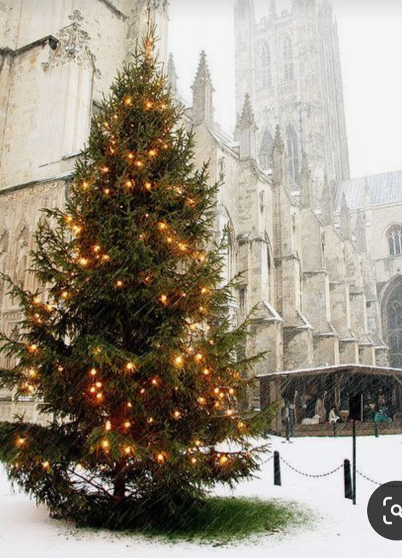 Screenshot_20231205_211533_Pinterest