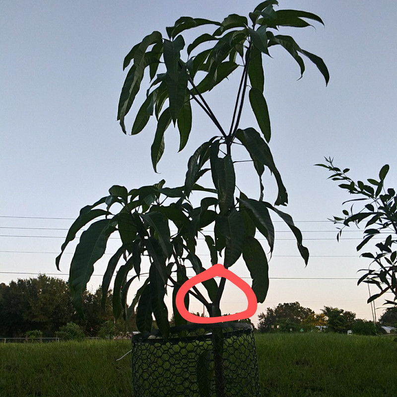 20200922_072337_HDR~2