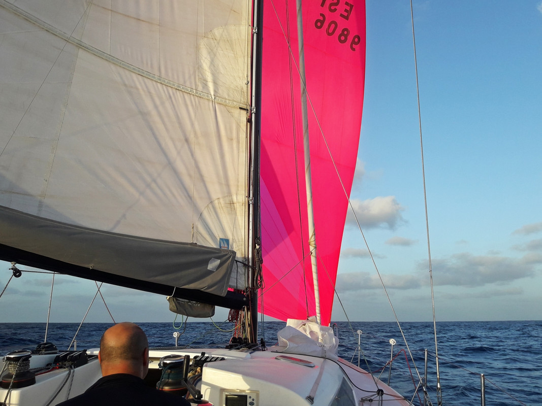 [Imagen: 20200213-091445.jpg]