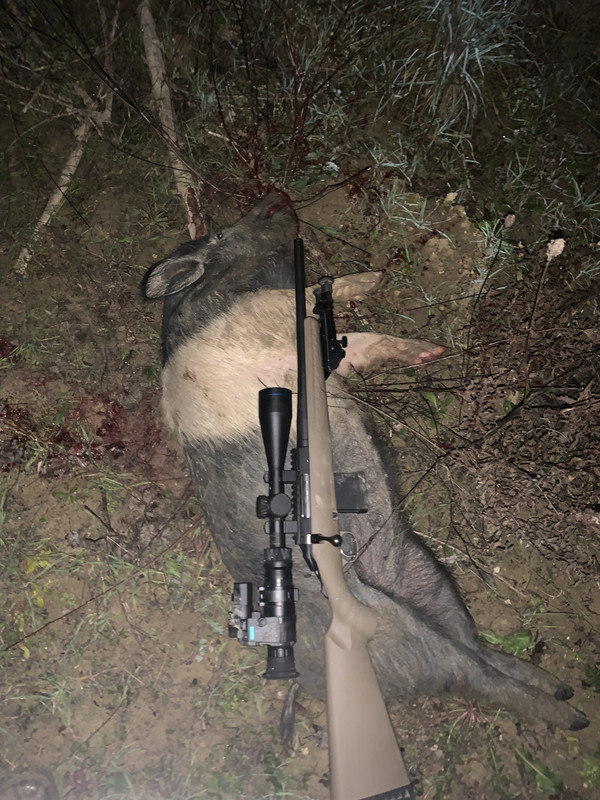 10F56567-3B36-49E5-BAFA-DA9C2176BBC3