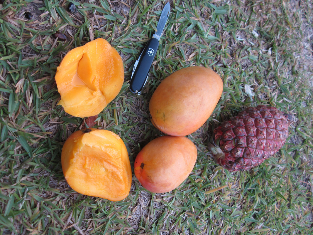 IMG 1355 — Postimages