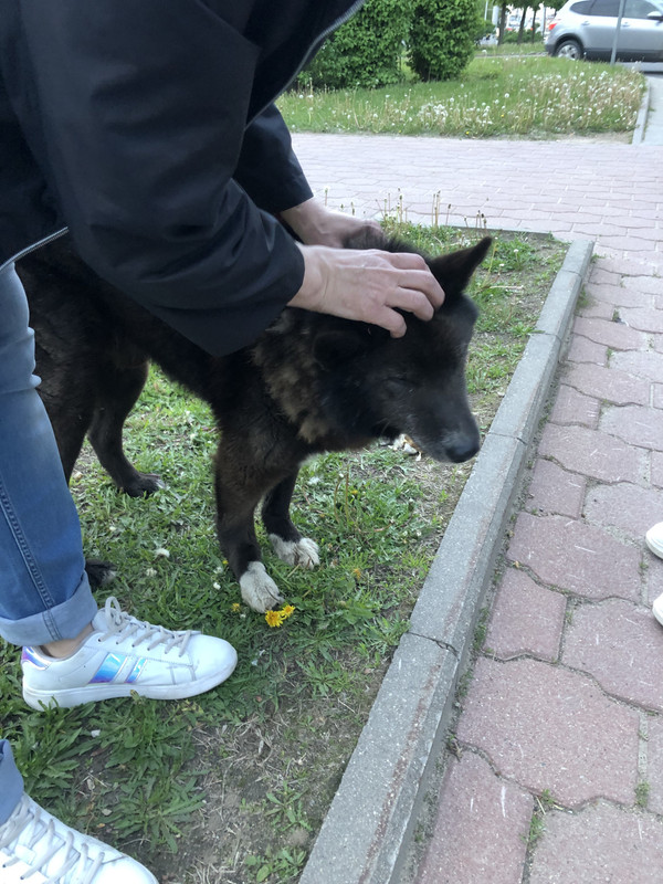 431E91DE-0F16-4AD8-947D-E7412FAF5BA8