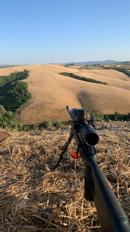 30C97009-649E-4031-BB96-6B9A50CCEC7D