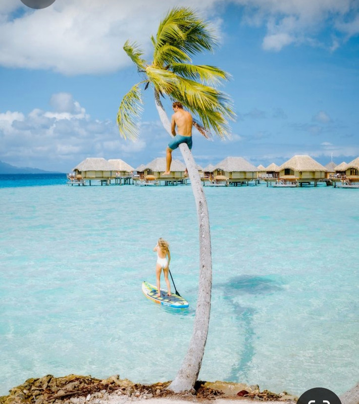 Screenshot_20230527_231636_Pinterest