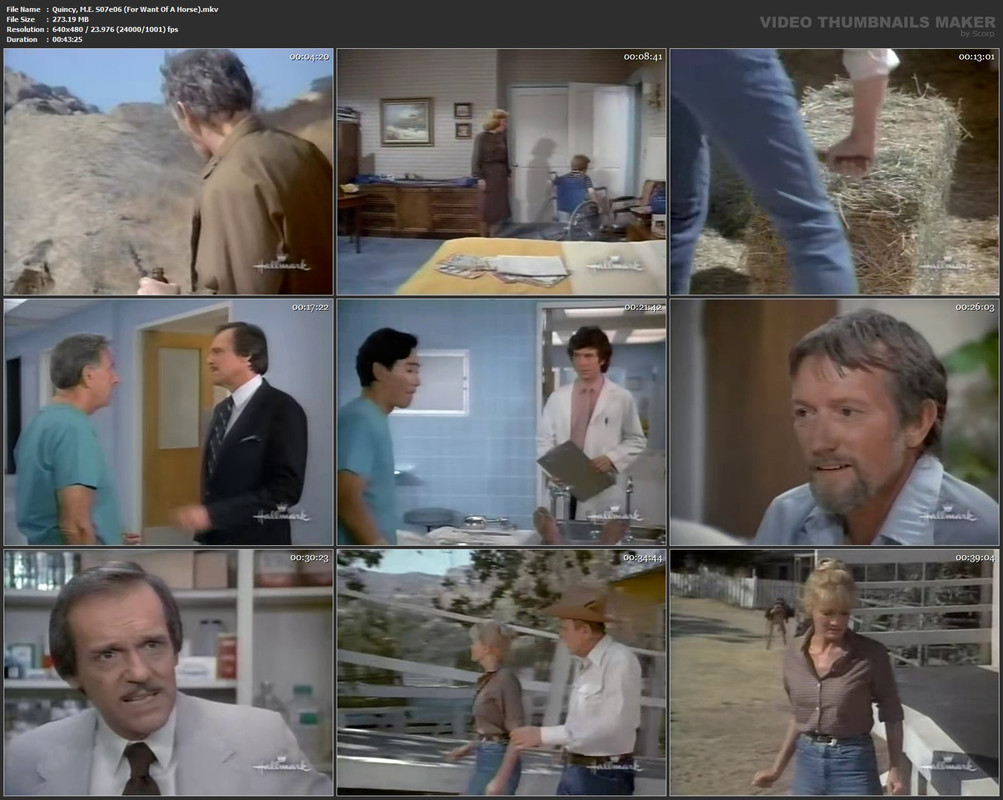 Quincy, M.E. S07e06 (For Want Of A Horse).mkv