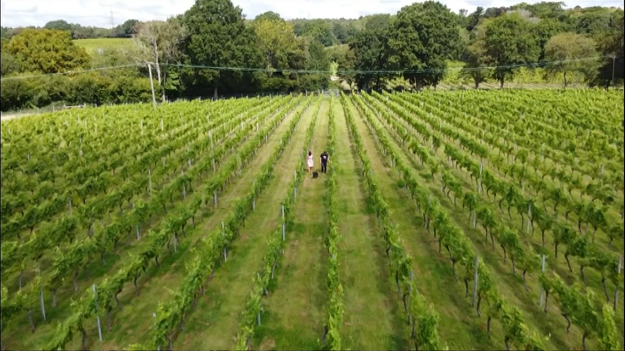 08 16 18 30 01 South East Today Weather South East Today Weath Ts 08-16-18-30-01-south-east-today-weather-south-east-today-weath-ts