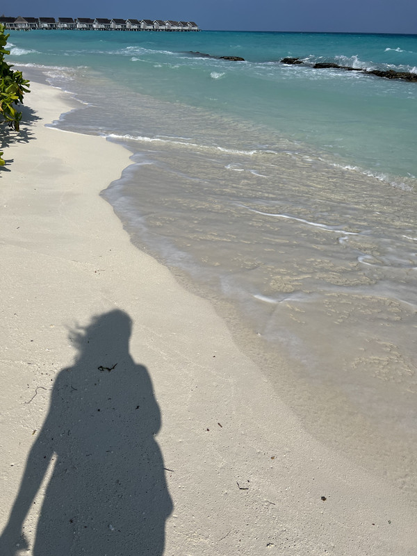 D49433AA-9F4F-4CB7-B2C7-DDE04D96512E