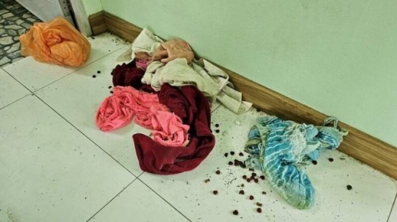 w1200-2024-09-28-T131529-286