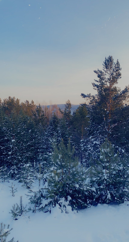 F6DF755E-83EB-4EDF-B887-CD8C104CBAED