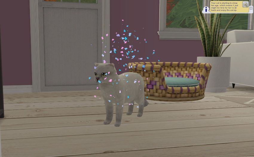 Sims2-EP9-2020-11-15-16-51-07-94