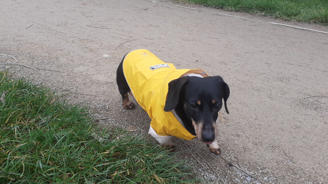 [Image: 20230204-140557.jpg]