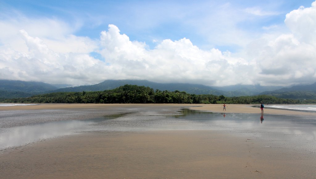 DIA 15: PARQUE MARINO BALLENA Y CONCLUSIONES - DE TORTUGAS Y PEREZOSOS. COSTA RICA 2019 (9)