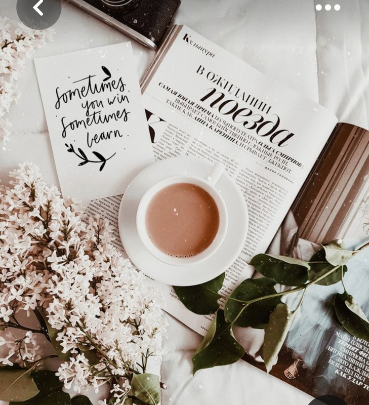 Screenshot_20230330_234801_Pinterest